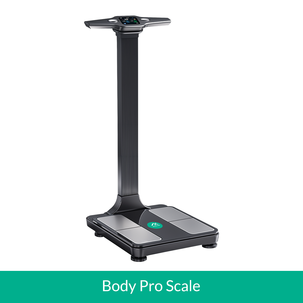 Body Pro Scale_body composition analyzer