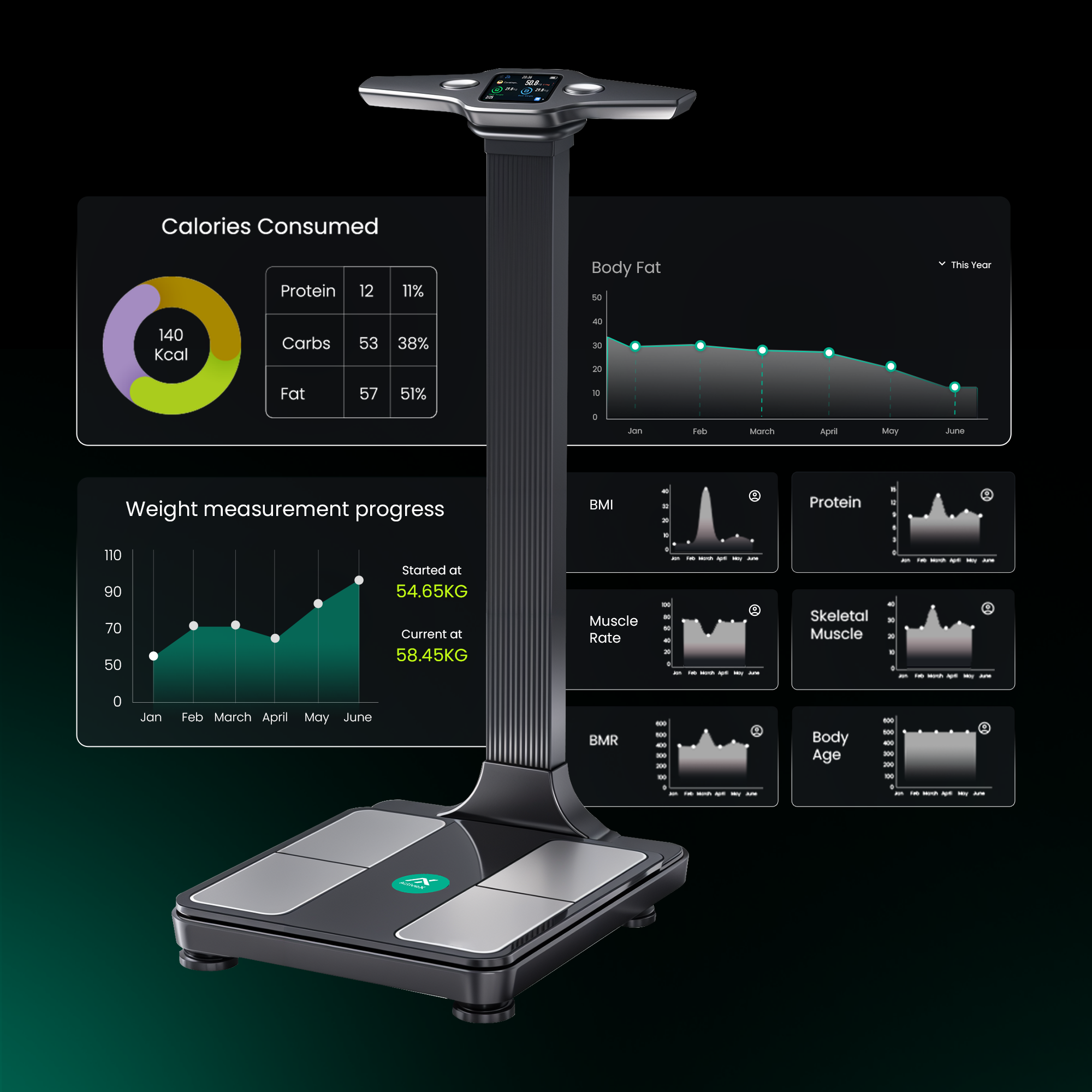 Health monitor with digital display_body analyzer