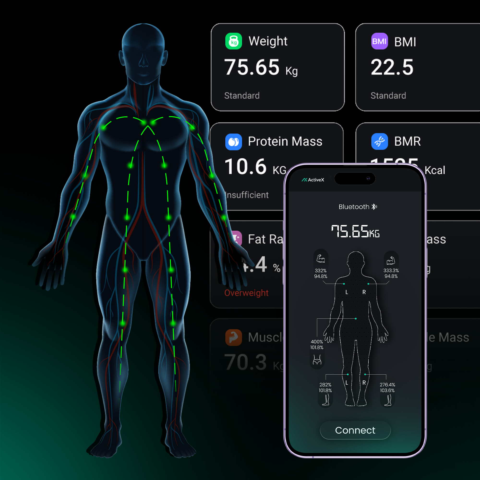 Body composition analysis app with digital display and smartphone interface_body analyzer